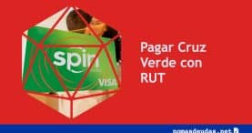 Pagar Cruz Verde con RUT
