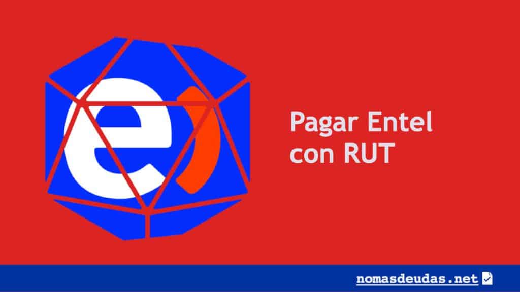 pagar entel con rut