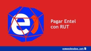 pagar entel con rut