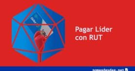 Pagar Lider con RUT