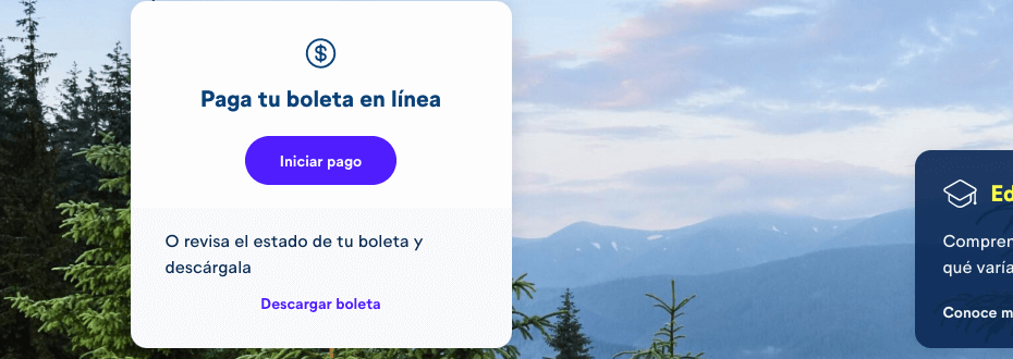 Pago fácil Frontel con RUT